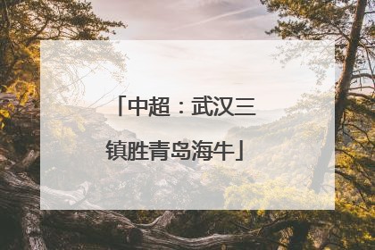 中超：武汉三镇胜青岛海牛